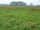 18-7708 LAUKO RD, Mountain View, Hawaii