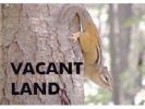 Canada property sale in Ontario, Kingston ON