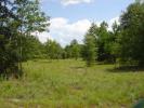 Photo of Hamp Farmer Rd, Lake City, Florida