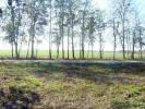 Photo of Vacant SW Gabriella Way, Madison, Florida