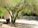 3645 W Flying Diamond Drive, Tucson, Arizona