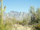 1924 W Mountain Mirage Place #162, Oro Valley, Arizona